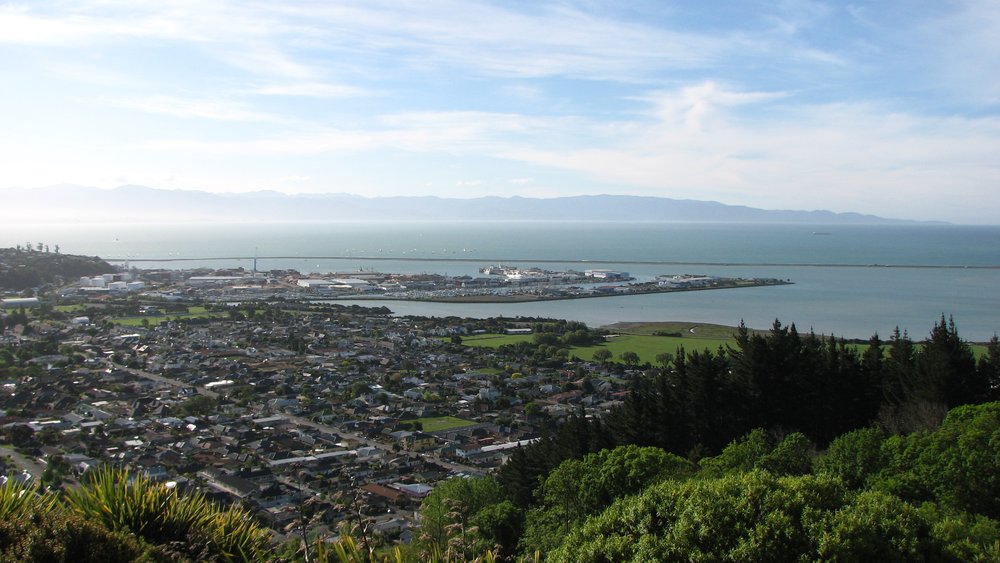 Nelson