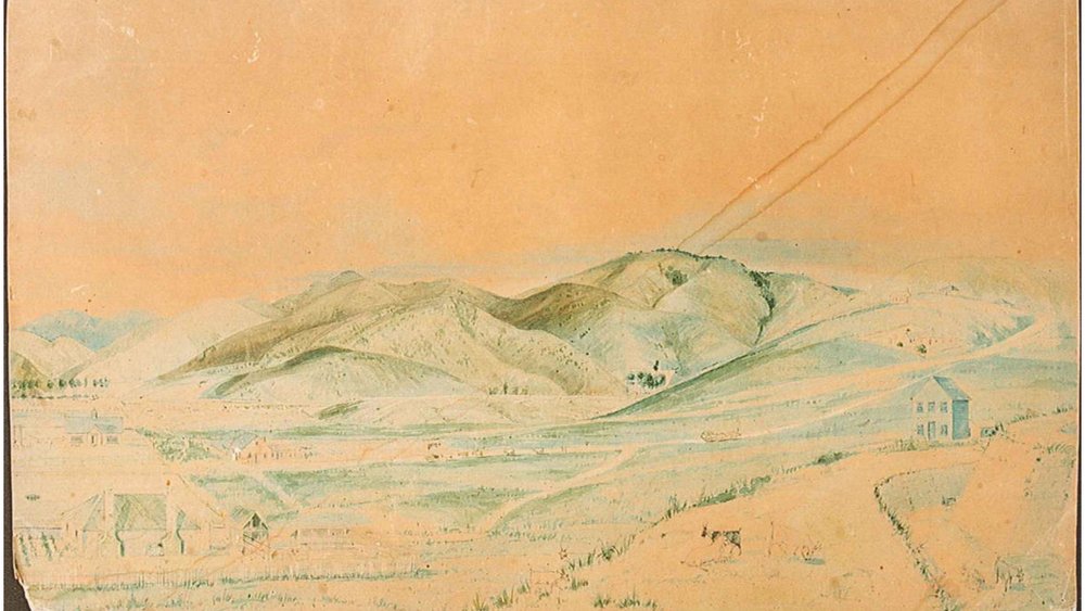 Nelson