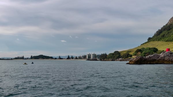Tauranga Cruise Port: Expert Guide to Shore Excursions