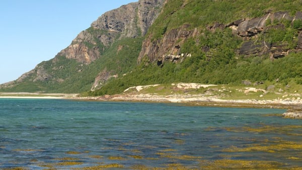 Bodo Cruise Port: Expert Guide to Shore Excursions & Logistics