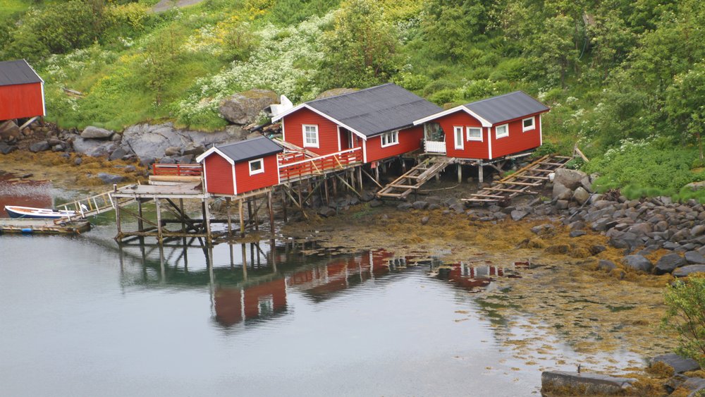 Reine