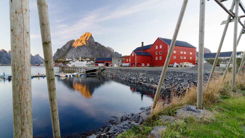 Reine