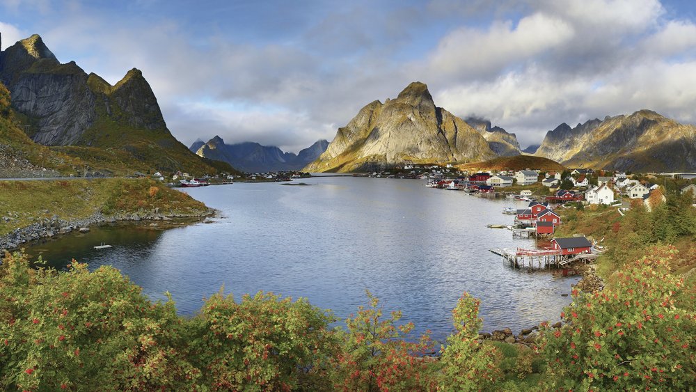 Reine