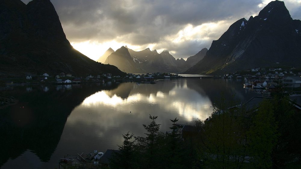 Reine