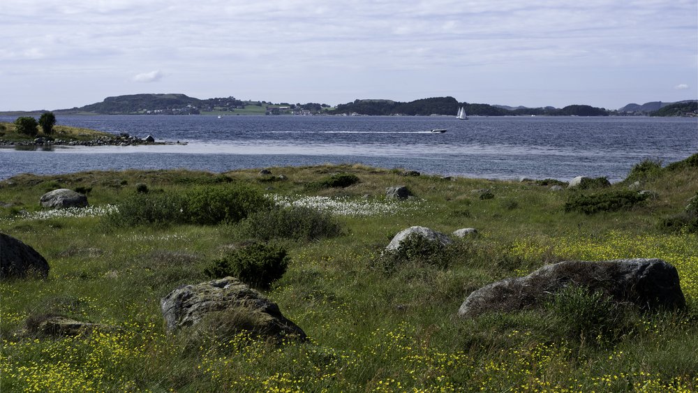 Stavanger
