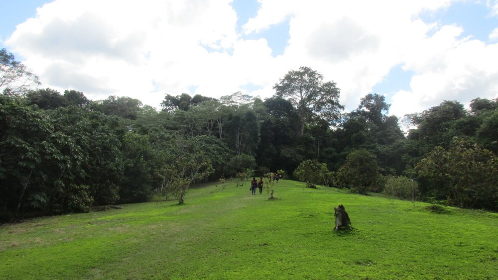 Iquitos