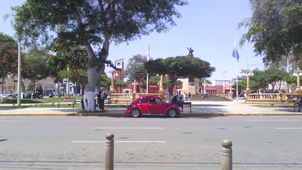 Pisco