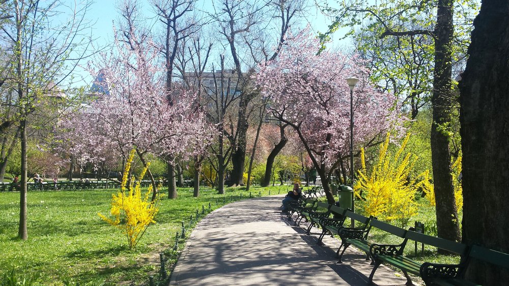 Bucharest