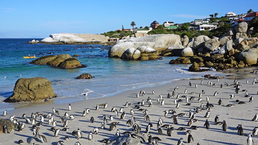 Cape Town