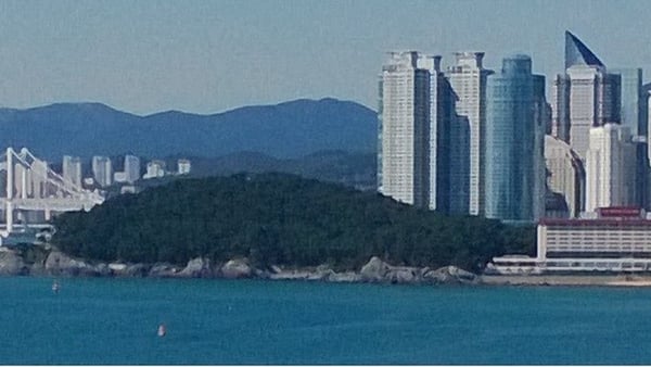 Busan Cruise Port: Shore Excursions & Expert Expert Guide
