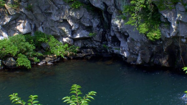 Seogwipo Cruise Port Guide: Shore Excursions & Jeju Expert Tips