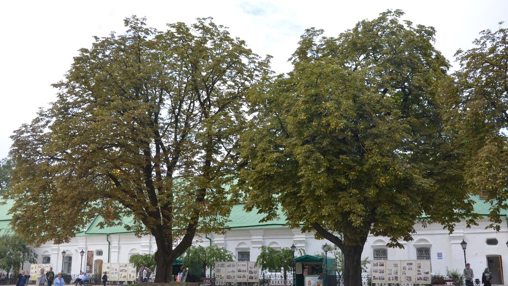 Kyiv