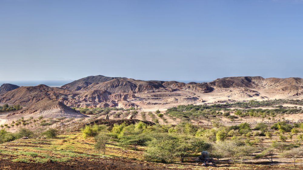 Sir Bani Yas