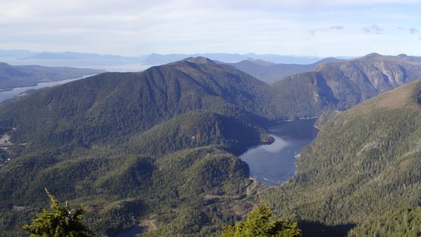 Ketchikan Cruise Port: Expert Guide to Shore Excursions