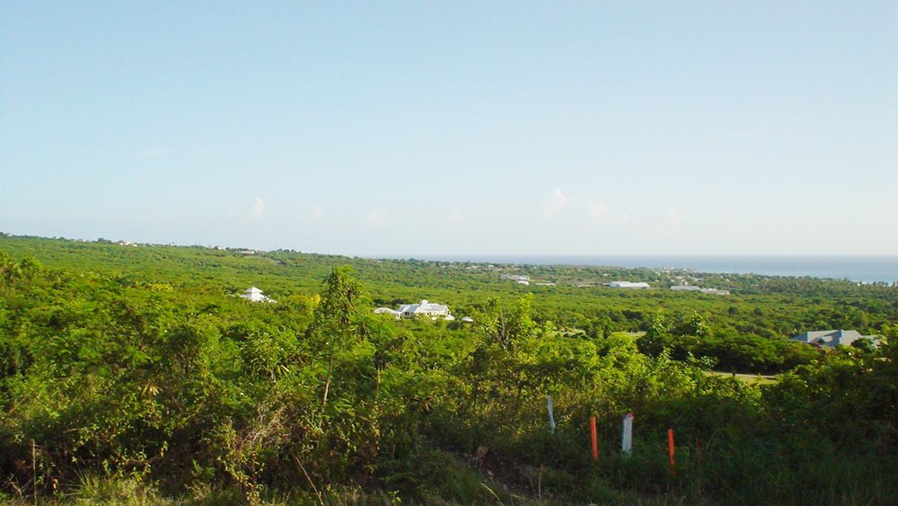 Nevis