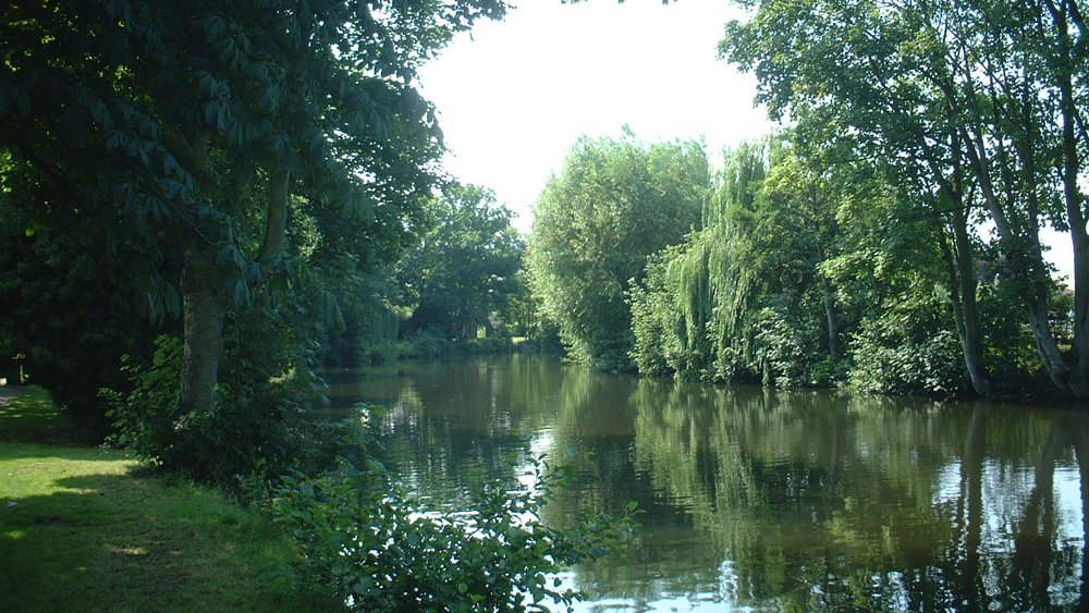 Norfolk