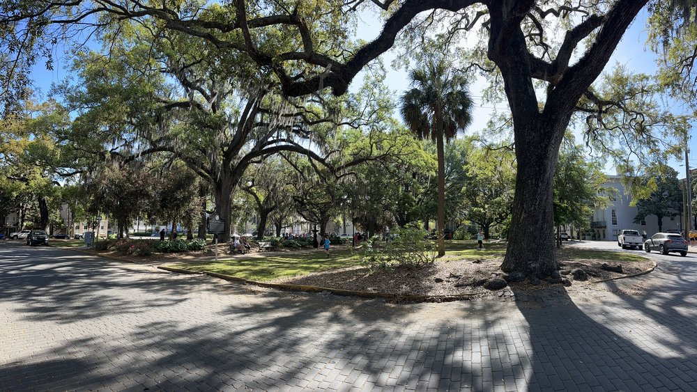 Savannah