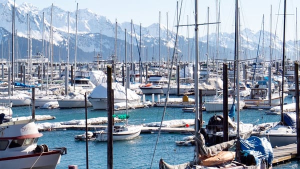Seward Cruise Port: Shore Excursions & Expert Expert Guide