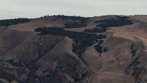 The Dalles Cruise Port: Shore Excursions & Expert Guide