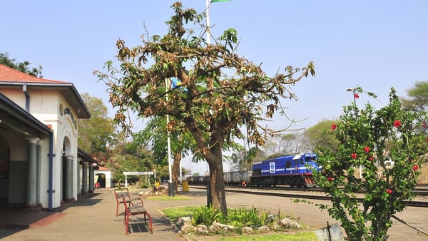 Victoria Falls Cruise Port: Expert Shore Excursion Guide