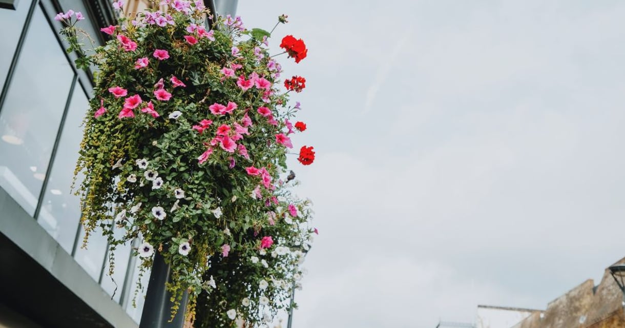 Derby is set to celebrate Great Big Green Week this June with a free city centre event organised by St Peters Quarter Business Improvement District.