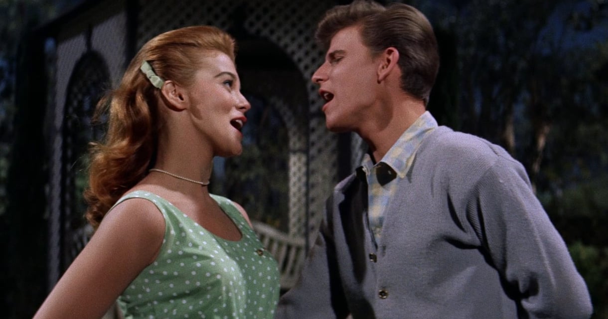 Bye Bye Birdie (U) – Dementia Friendly Screening