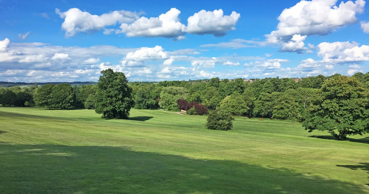 View of Darley Park
