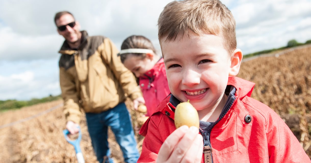 National Forest Adventure Farm