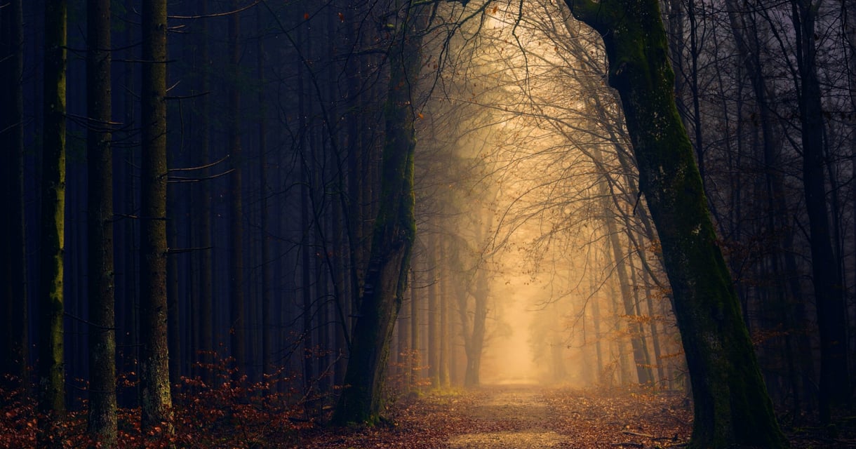 Darkness In The Fields – Folk Horror Film Festival