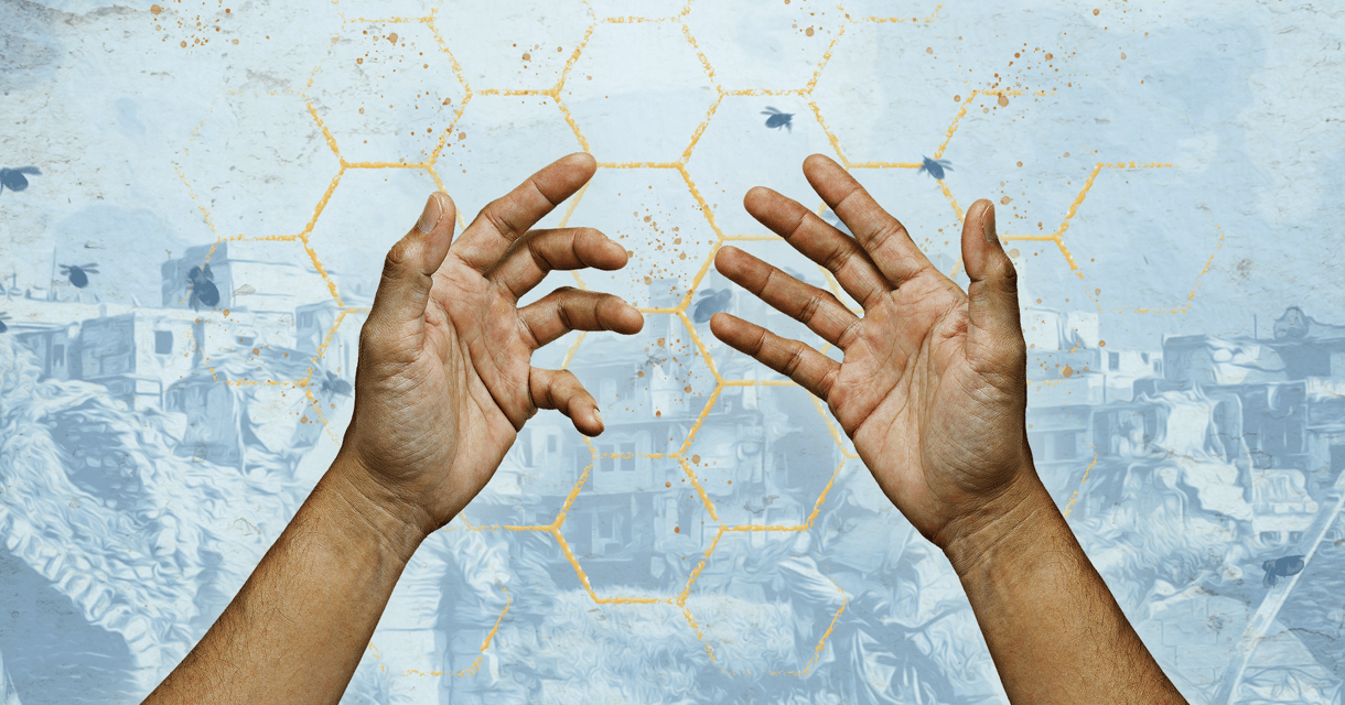 The Beekeeper Of Aleppo