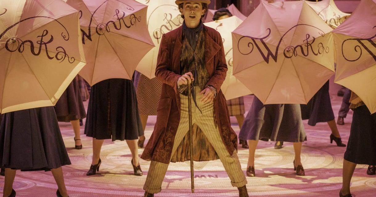 Wonka at the Children’s Country House at Sudbury