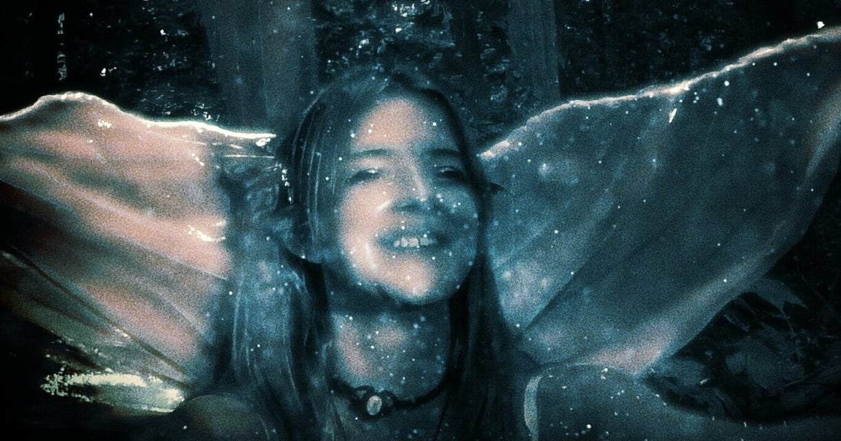 Paracinema Filmmakers Panel