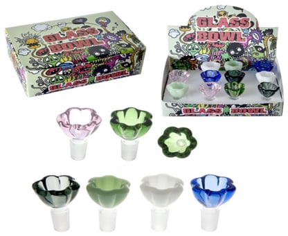 PHOTO-2024-10-16-21-18-28