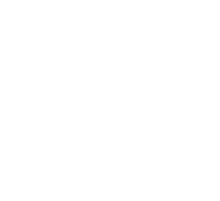 UFC