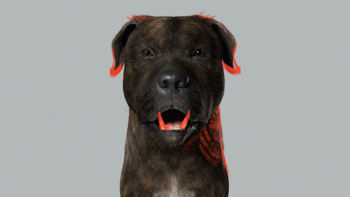 Dog character