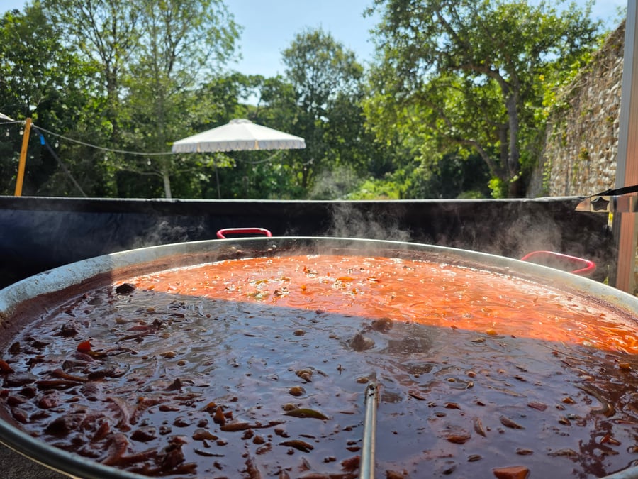 A giant paella pan filled with a bubbling, colourful stew, steaming under a bright sky with trees and a stone wall in the background