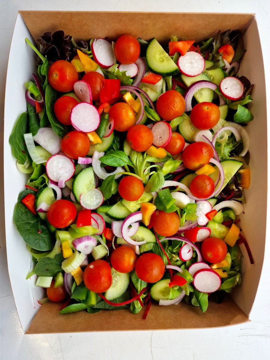 A vibrant salad box filled with fresh tomatoes, cucumber, radish, and red onion