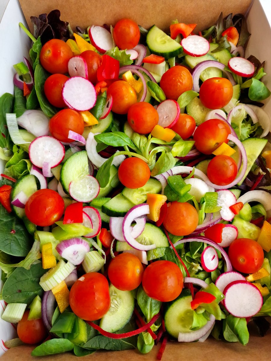 A vibrant salad box filled with fresh tomatoes, cucumber, radish, and red onion (2)
