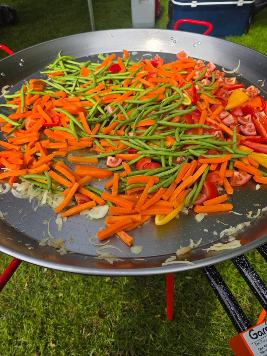 Freshly chopped carrots, green beans, and peppers ready to be cooked in a giant paella pan on a grassy outdoor setting