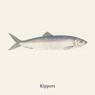 Kippers, Frozen, 2 kippers