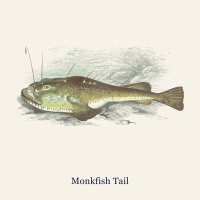 Cornish Monkfish Tail