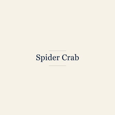 Spider Crab, Small