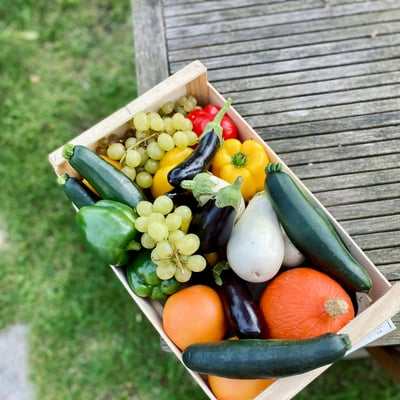 Cornish Family Food Box (Small)