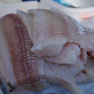 Cornish Fish Box (Large)