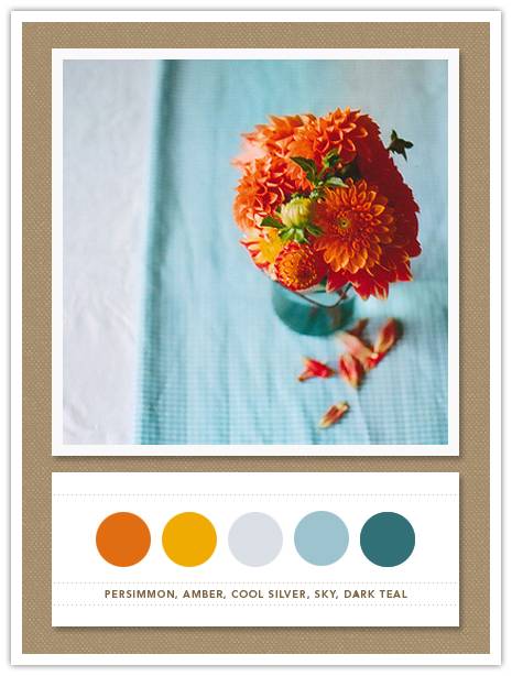 Color Card 054