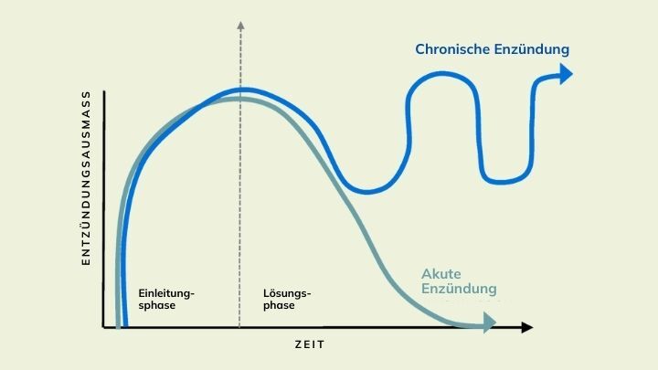Entzündungshemmende Supplemente