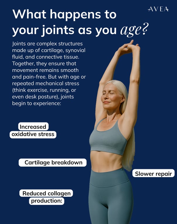 what happens to your joint flexibility as you age