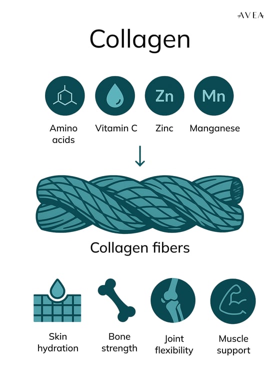 Why Collagen Supplements Don’t Work