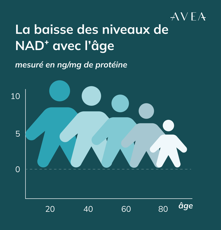 NAD+ diminuent
