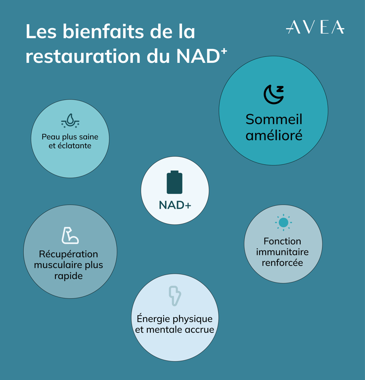 La bonne nouvelle : le NAD+ peut être restauré